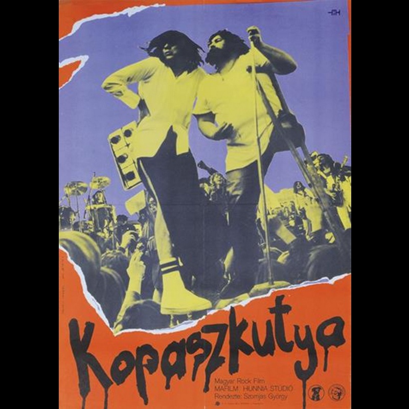 1981 – Kopaszkutya