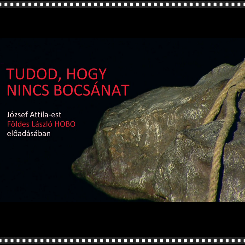 2024 – Tudod, hogy nincs bocsánat
